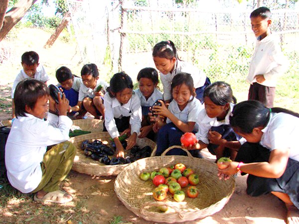 カンボジア農業支援の様子