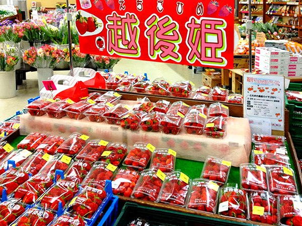 店舗の様子