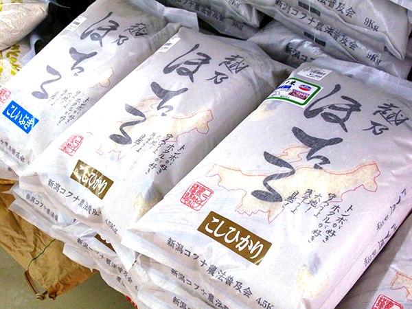 店舗の様子